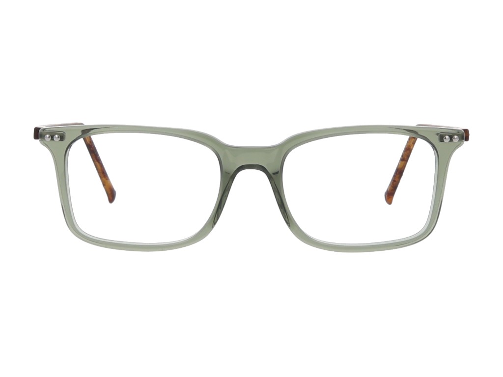 iGreen V-4.481