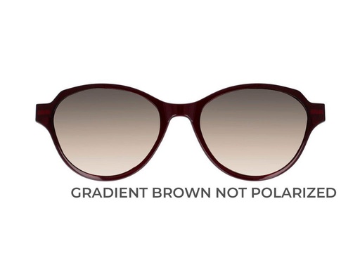  * [CLIPIGPL16009BRW] iGreen PL-016 Clip ONLY (009BRW BROWN N/PL)